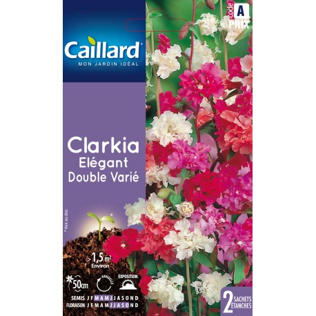 Graines de Clarkie élégante / Clarkia élégant - double varié